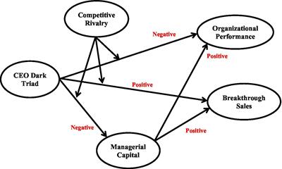 Is the dark triad always detrimental to firm performance? Testing different performance outcomes and the moderating effects of competitive rivalry